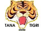 Bandiera